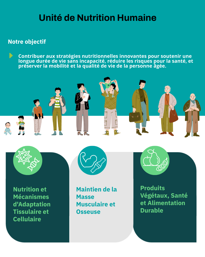 Compétences et expertises