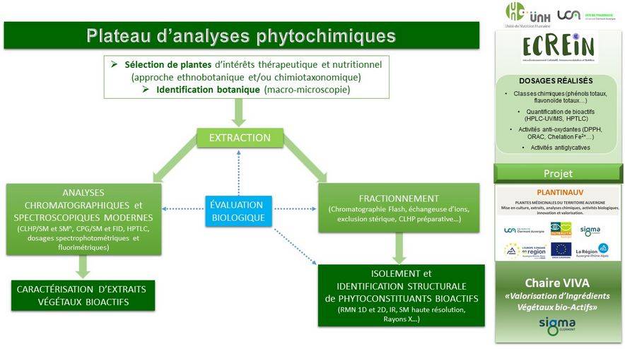 Analyses phytochimiques